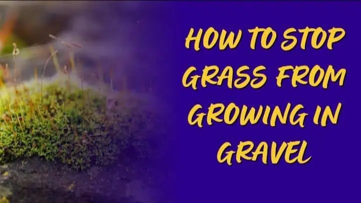 How To Stop Grass From Growing In Gravel