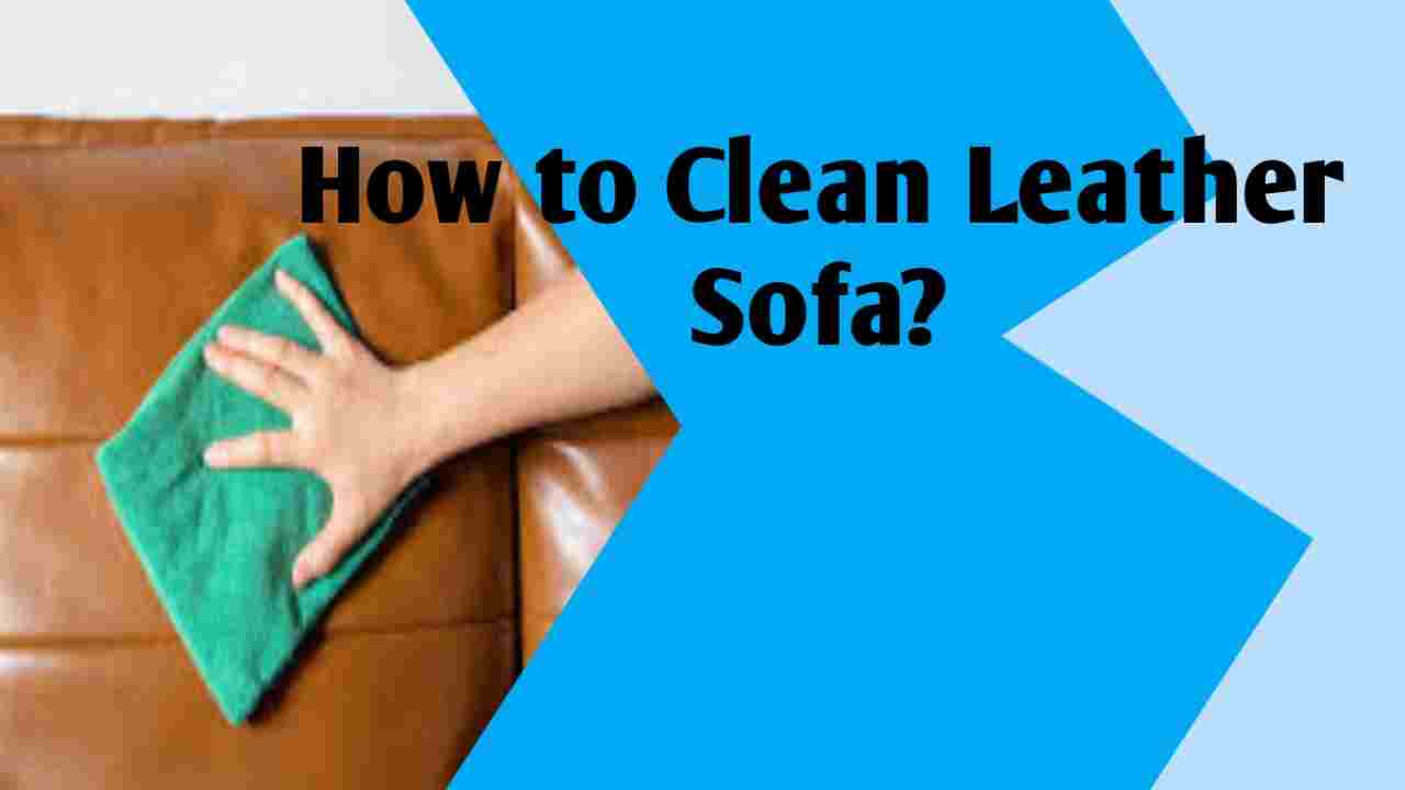 How to Clean Leather Sofa