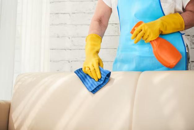 How to Clean Leather Sofa