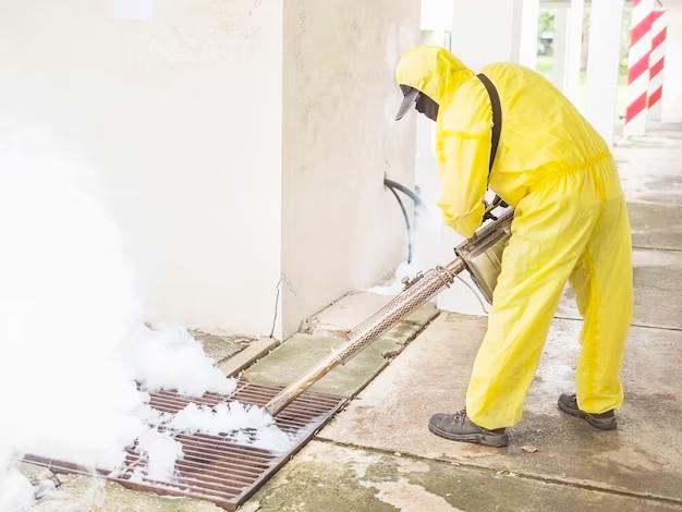 How to Get Rid of Musty Smell in Basement Fast