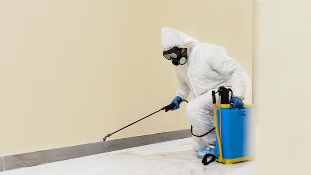How to Get Rid of Musty Smell in Basement After Flood