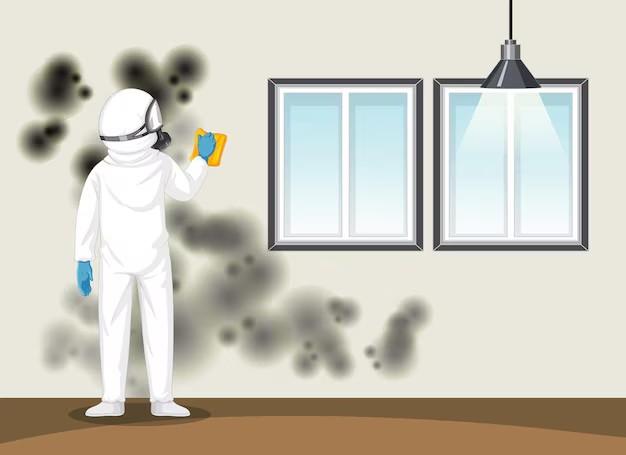 Is the Mold in My Basement Dangerous?