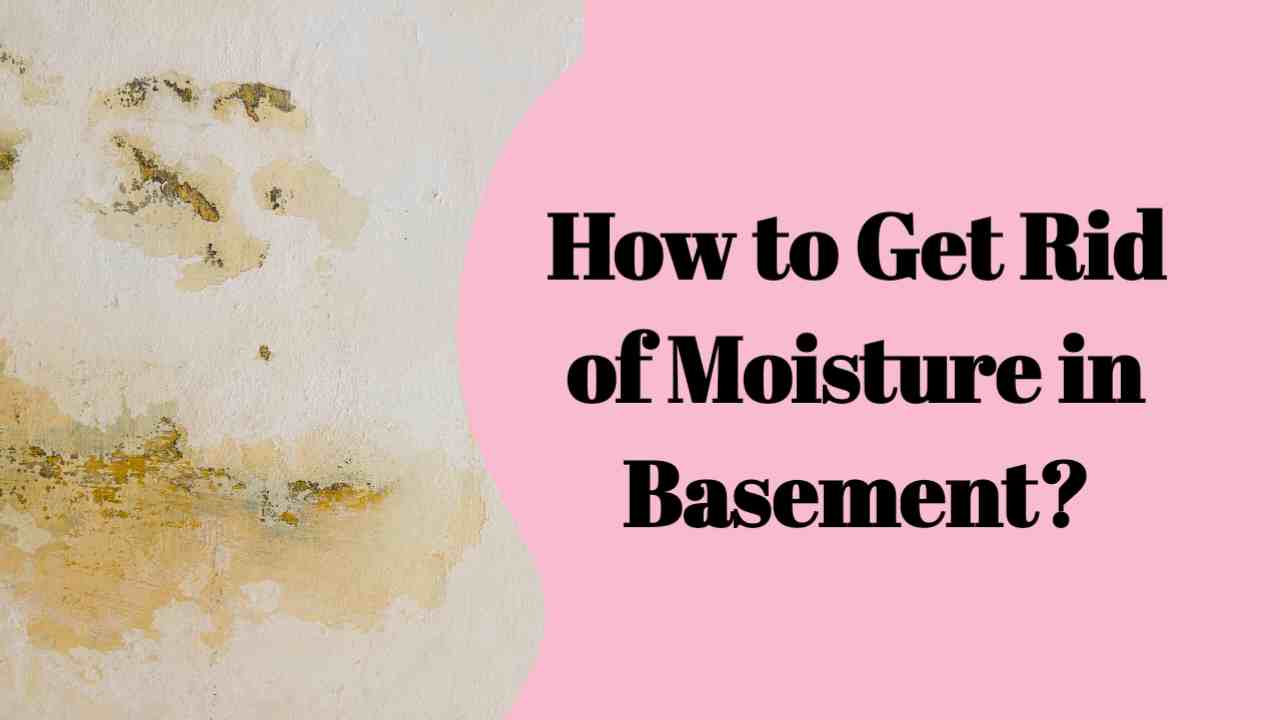 How to Get Rid of Moisture in Basement?
